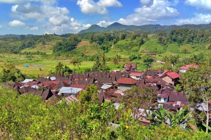 Budidaya ayam di Gunuang Omeh, Kabupaten Lima Puluh Kota