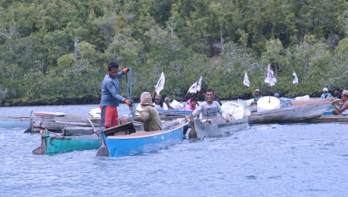 Daun penggemuk ayam di Talatako, Tojo Una-una