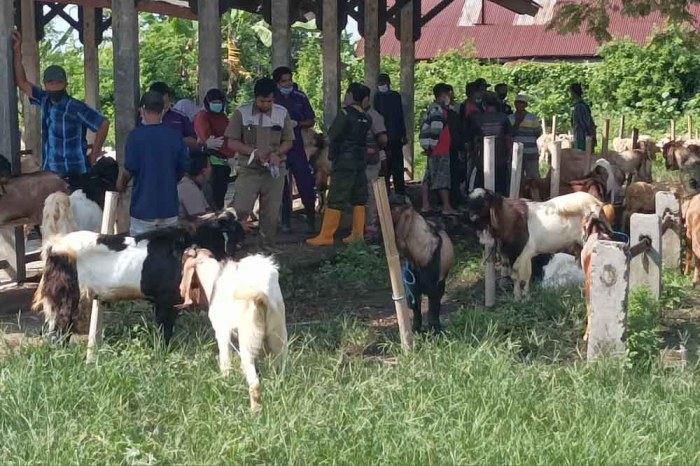 Daging kambing di Demak, Kabupaten Demak