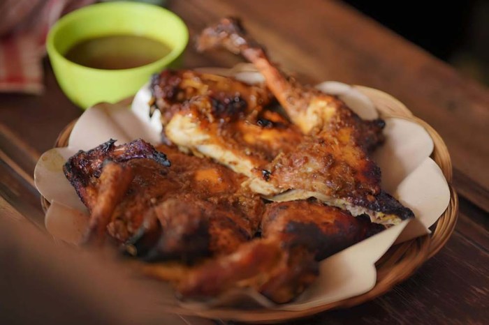 Peternak Ayam Kampung Klaten Ayam ternak di Kalikotes, Klaten