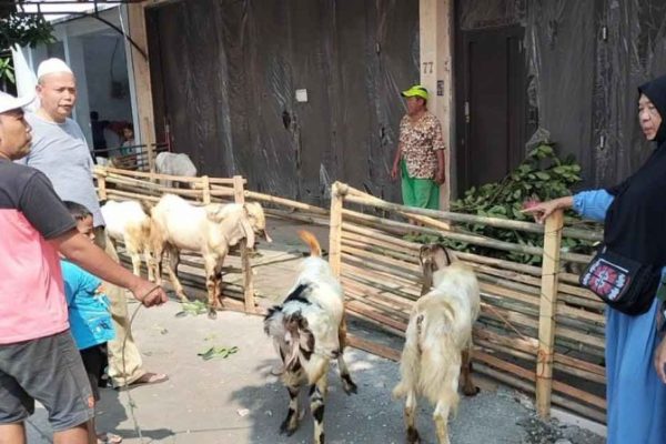 Daging kambing di Wonotunggal, Batang
