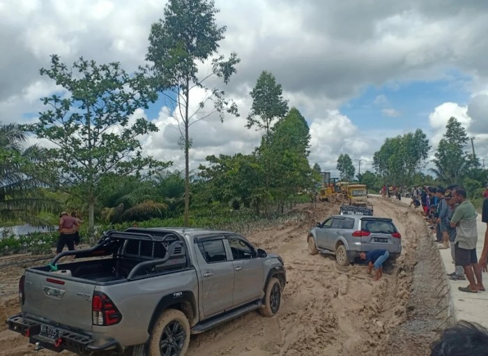 Daun penggemuk ayam di Kotawaringin Lama, Kotawaringin Barat