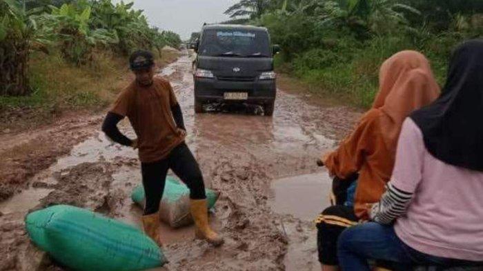 Daging kambing di Mesuji Timur, Mesuji