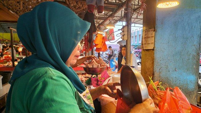 Jual beli ayam area tejakula Jual beli ayam area tejakula