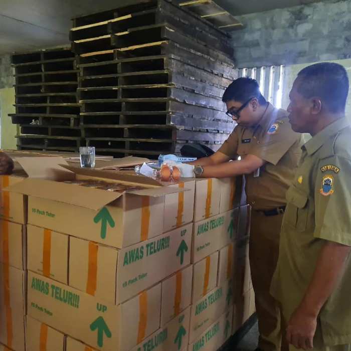 PEMERIKSAAN TELUR AYAM RAS BANTUAN PENANGANAN STUNTING DI FARM LAYER ... PEMERIKSAAN TELUR AYAM RAS BANTUAN PENANGANAN STUNTING DI FARM LAYER ...