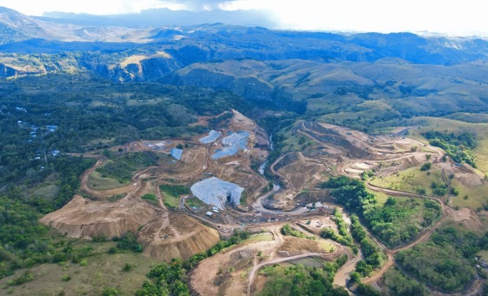 Daun penggemuk ayam di Aesesa Selatan, Nagekeo