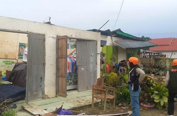 Daun penggemuk ayam di Larompong Selatan, Luwu