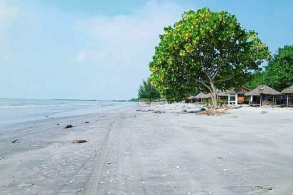 Budidaya ayam di Labuhan Maringgai, Lampung Timur