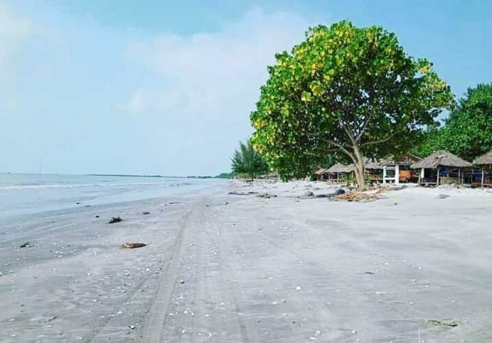Ledakan Diduga Bom Ikan di Lampung Timur, Akibatkan Satu Orang ... Budidaya ayam di Labuhan Maringgai, Lampung Timur