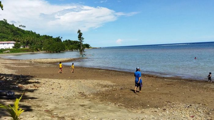 Daun penggemuk ayam di Pantai Kasuari, Kab. Asmat