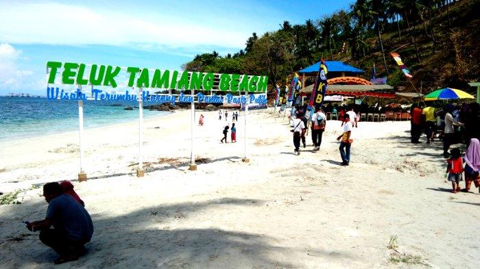 Cara Sukses Ternak Ayam Kampung yang Baik dan Benar