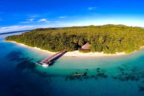 Budidaya ayam di Siberut Selatan, Kabupaten Kepulauan Mentawai