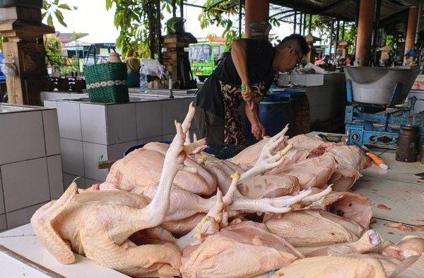 Daging kambing di Wonosari, Bondowoso