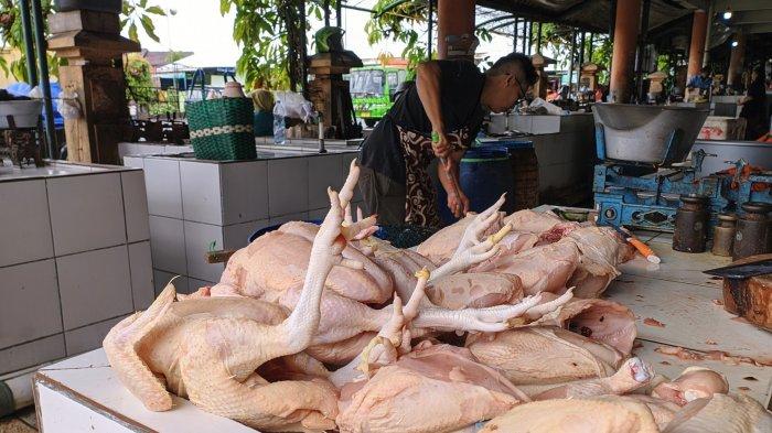 Dombos, Kambing Domba Asli Wonosobo Bernilai Ekonomi Tinggi - SuaraBaru.id Daging kambing di Wonosari, Bondowoso