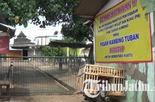 Daging kambing di Palang, Tuban