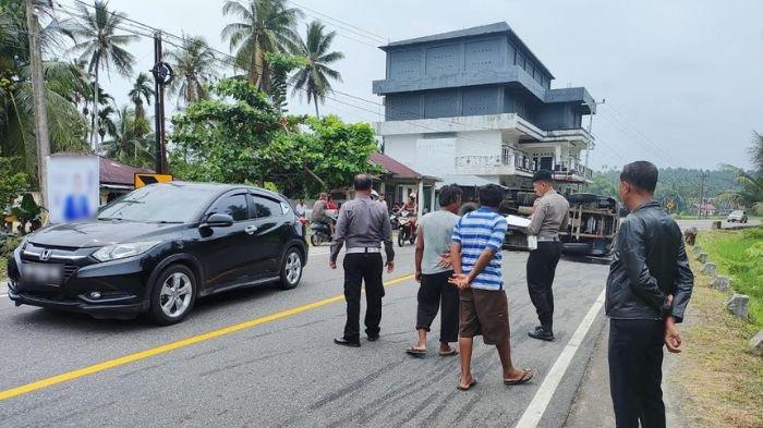 Ayam ternak di Sungai Limau, Kabupaten Padang Pariaman