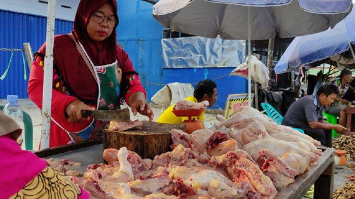 Harga Ayam Potong di Kabupaten Sarolangun Naik, Harga Berbeda di Dalam ... Ayam layer di Sarolangun, Kabupaten Sarolangun
