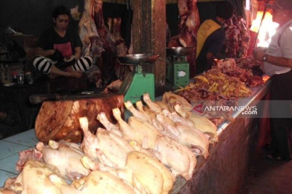 BUDIDAYA AYAM KAMPUNG DI BOGOR | ANTARA Foto