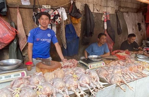 Jelang Lebaran, Segini Harga Daging Ayam Potong dan Afkir di Pasar ...