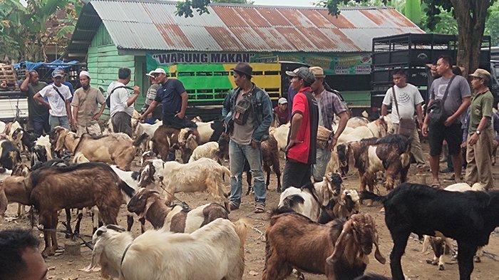 Daging kambing di Blambangan Pagar, Lampung Utara