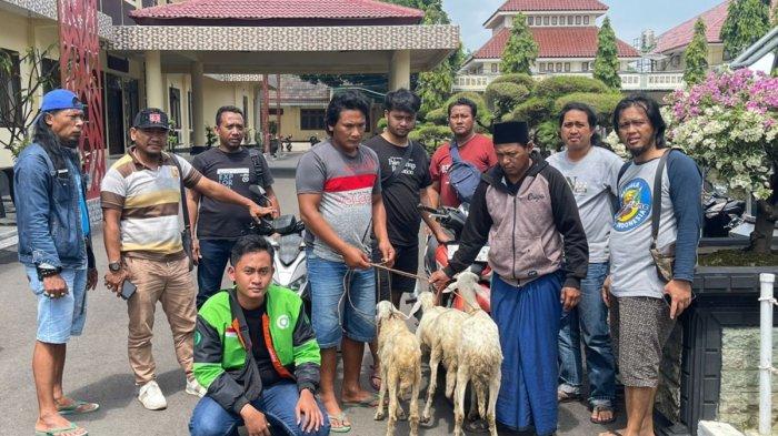 Daging kambing di Situbondo, Kabupaten Situbondo