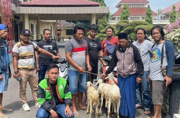 Daging kambing di Besuki, Situbondo