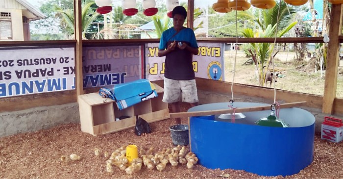 PETERNAKAN AYAM KAMPUNG PETELUR DI BOGOR | ANTARA Foto Ternak ayam petelur di Dolo Selatan, Sigi