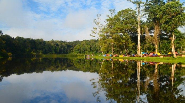 4 Jenis Ayam Kampung Petelur Terkenal di Indonesia