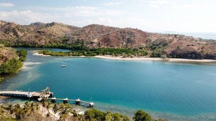 Mengenal Keuntungan Ternak Ayam Petelur: Investasi yang Menguntungkan ... Mengenal Keuntungan Ternak Ayam Petelur: Investasi yang Menguntungkan ...