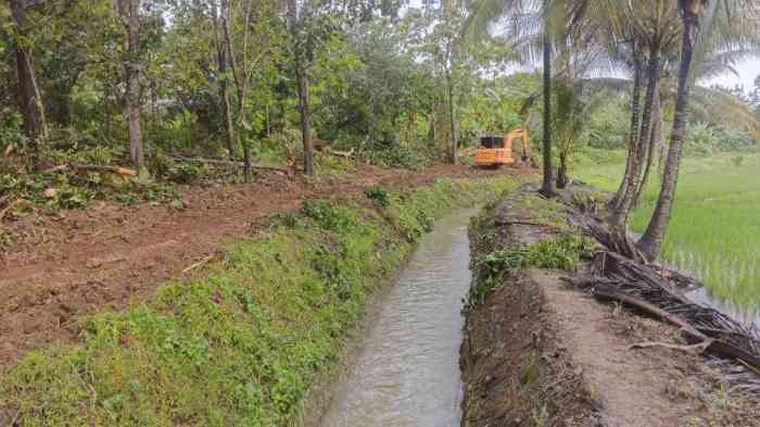 RESEP AYAM DAUN KEMANGI -- AROMA DAUN KEMANGINYA BIKIN MASAKANNYA LEBIH ... Daun penggemuk ayam di Kintom, Banggai