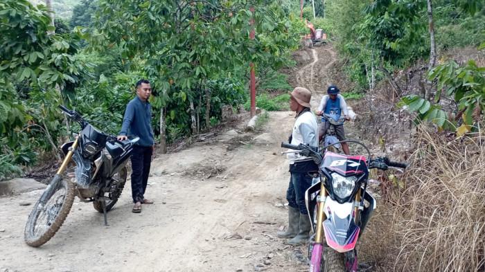 Pemda Parigi Moutong Buka Akses Jalan Menuju Tiga Desa di Pegunungan ... Daun penggemuk ayam di Tinombo, Paringi Moutong