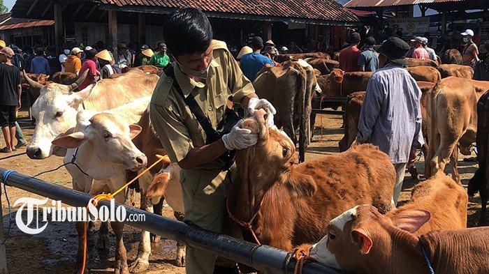 Peternakan ayam wonokoyo