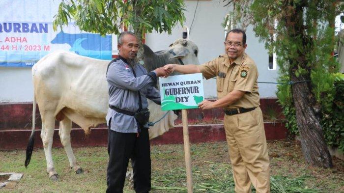 Harga daging sapi di Kulon Progo belum terdampak PMK - ANTARA News ... Daging kambing di Pengasih, Kulon Progo