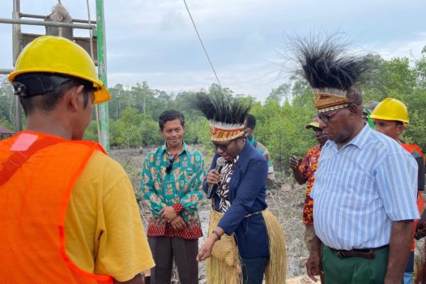 Daun penggemuk ayam di Mimika Tengah, Kab. Mimika