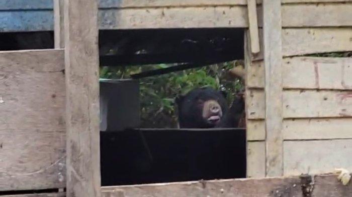 🔴 SARI RASA RESTO DAN SARI RASA HOTEL LIWA BALIK BUKIT LAMPUNG BARAT ...