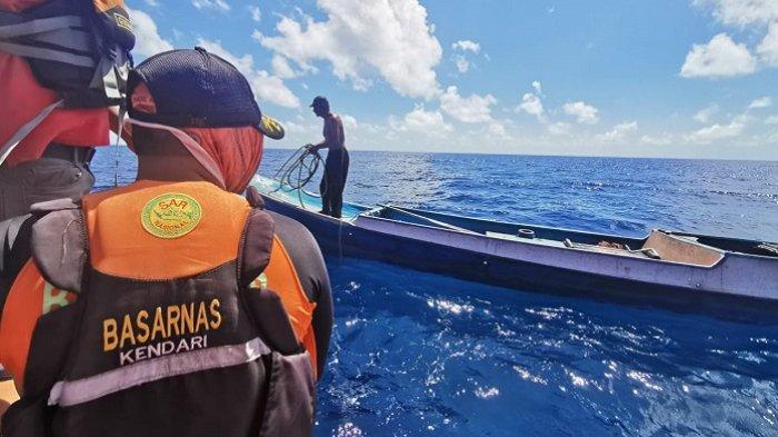Daun penggemuk ayam di Lasalimu, Buton