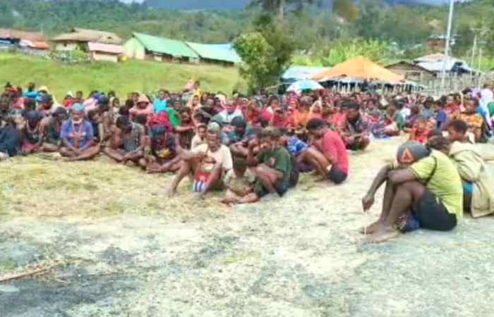 Daun penggemuk ayam di Pogoma, Kab. Puncak