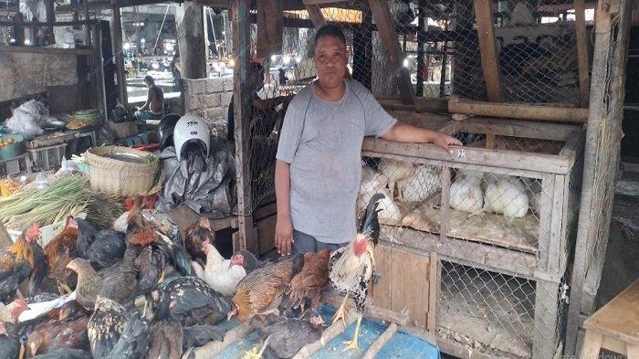 Harga ayam kampung potong di Curugkembar, Sukabumi