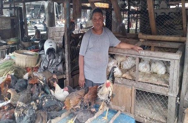 Harga Ayam Kampung Turun di Pasar Inpres - Pos-kupang.com