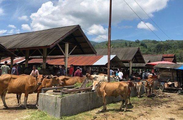 Lokal Rest: ID Food Gandeng Peternak Ayam Lokal Bantu Penanganan ...