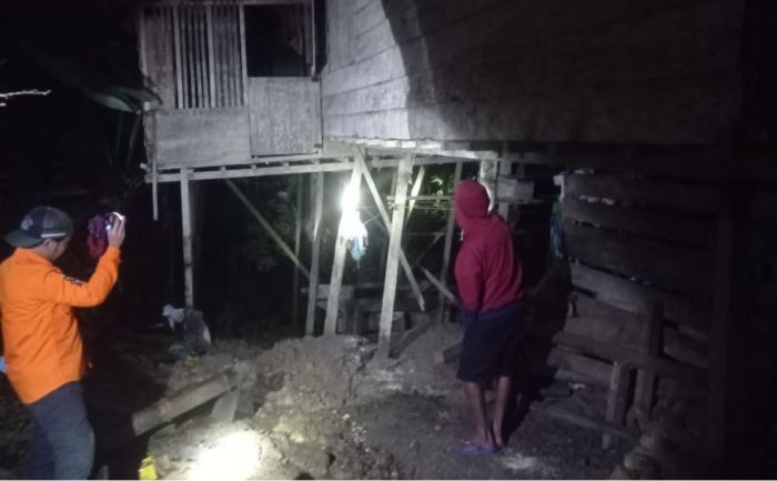 Daun penggemuk ayam di Balantak Selatan, Banggai