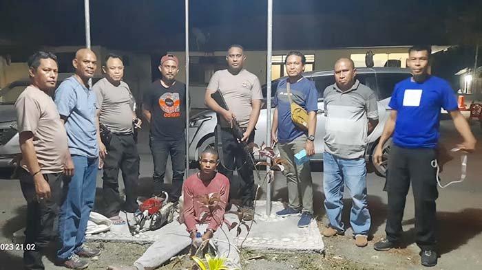 Panduan Lengkap Cara Ternak Ayam Petelur : Mulai dari Persiapan hingga ...