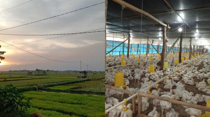 ALTERNATIF PEMECAHAN MASALAH PARKIR DI PASAR UJUNG GADING KECAMATAN ...