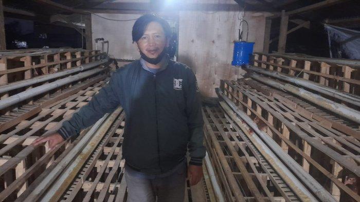 ️ Ternak Ayam Petelur: Panduan dan Tips untuk Memulai Usaha Ternak Ayam ... ️ Ternak Ayam Petelur: Panduan dan Tips untuk Memulai Usaha Ternak Ayam ...