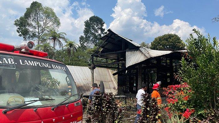 Budidaya ayam di Balik Bukit, Lampung Barat