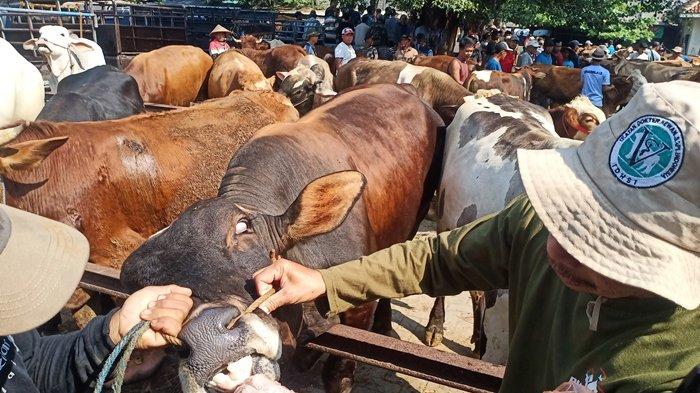 Daging kambing di Jatinom, Klaten