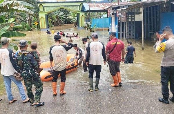 Daun penggemuk ayam di Haruai, Tabalong