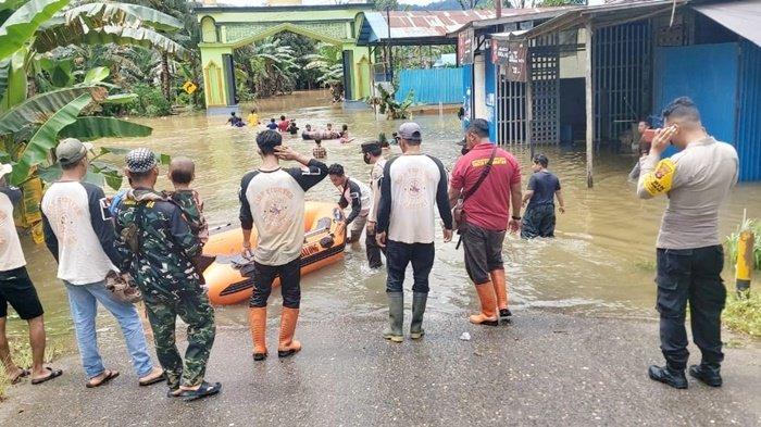 Daun penggemuk ayam di Haruai, Tabalong