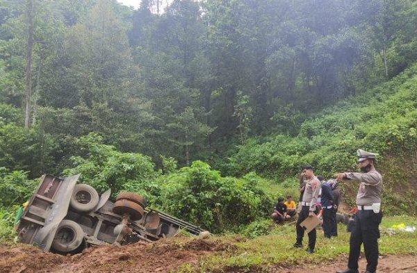 Daun penggemuk ayam di Tapalang, Mamuju