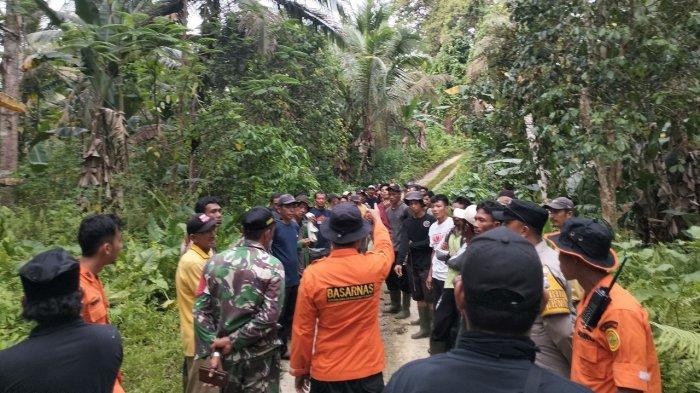 Mahalnya Pakan Jadi Pemicu Kenaikan Harga Telur Ayam di Banyuwangi ...